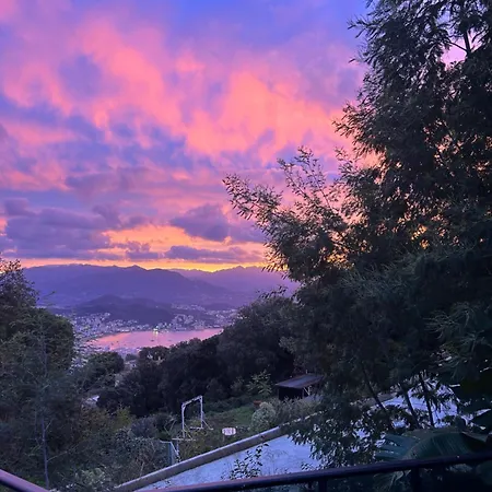 别墅 Avec Piscine Et Vue Sur La Baie D'ajaccio 阿雅克肖